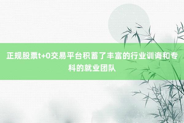 正规股票t+0交易平台积蓄了丰富的行业训诲和专科的就业团队